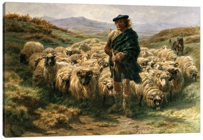 The Highland Shepherd (Watercolour) Canvas Art Print - Farmer