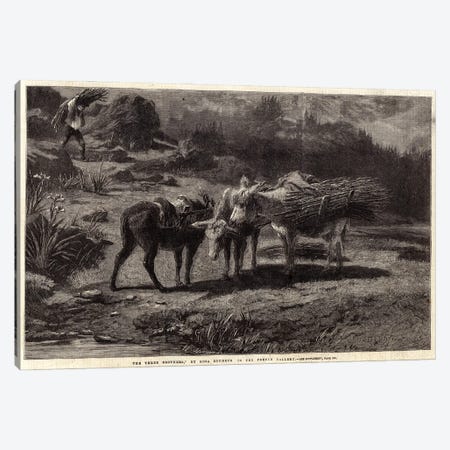 The Three Brothers (Illustration For The Illustrated London News), 13 April 1861 Canvas Print #BMN7561} by Rosa Bonheur Art Print