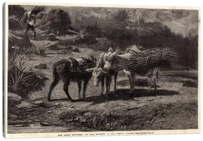 The Three Brothers (Illustration For The Illustrated London News), 13 April 1861 Canvas Art Print - Rosa Bonheur