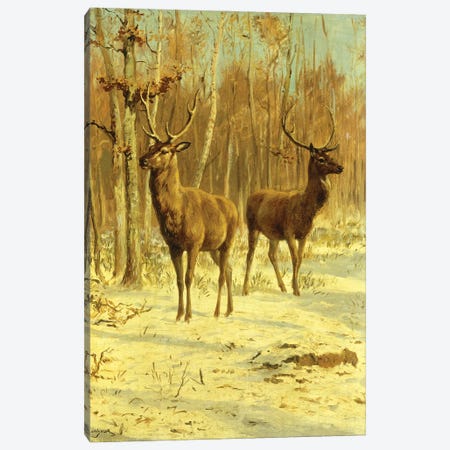 Two Stags In A Clearing In Winter Canvas Print #BMN7563} by Rosa Bonheur Canvas Print