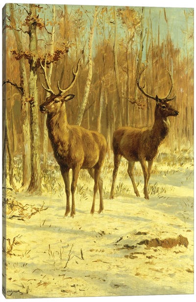 Two Stags In A Clearing In Winter Canvas Art Print - Rosa Bonheur