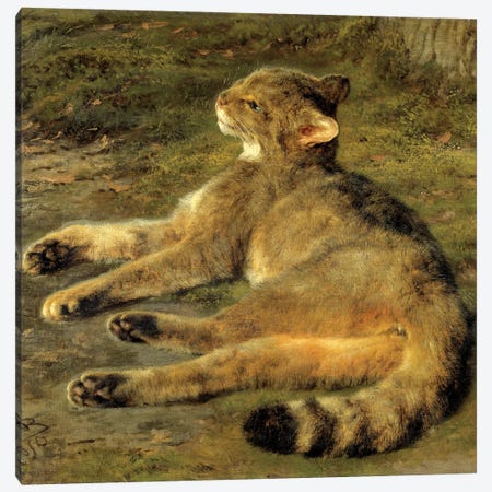 Wild Cat, 1850 Canvas Print #BMN7564} by Rosa Bonheur Canvas Wall Art