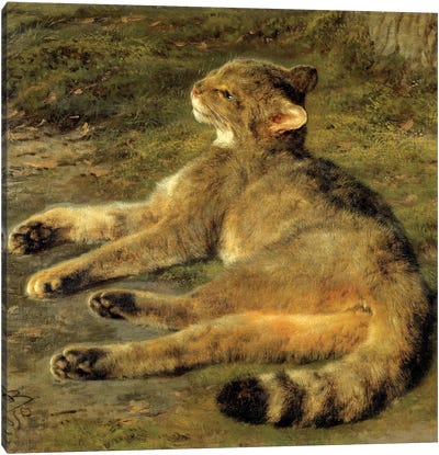 Wild Cat, 1850 Canvas Art Print - Rosa Bonheur