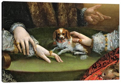 Detail Of Family Dog, The Gozzadini Family Canvas Art Print - Lavinia Fontana