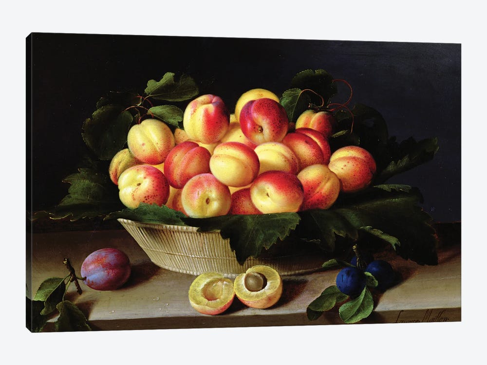 Basket Of Apricots, 1634 1-piece Canvas Art