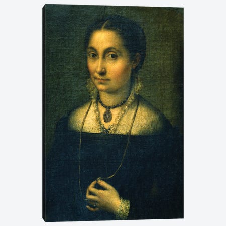 Portrait Of Elena Canvas Print #BMN7679} by Sofonisba Anguissola Canvas Print