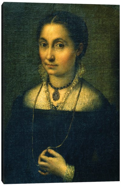 Portrait Of Elena Canvas Art Print - Sofonisba Anguissola