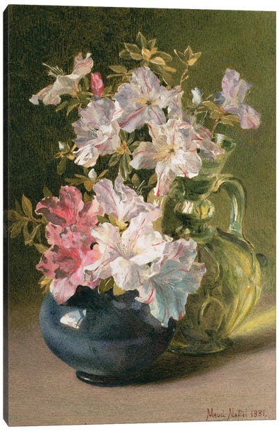 Azaleas in a Jug Canvas Art Print