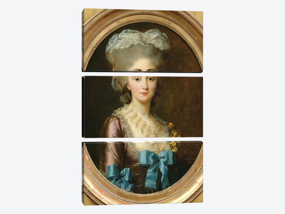 Portrait Of Madame Lesould, 1780 by Elisabeth Louise Vigee Le Brun 3-piece Canvas Art