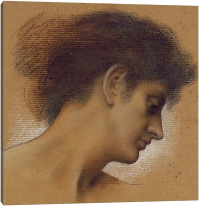 Study Of A Head II Canvas Art Print