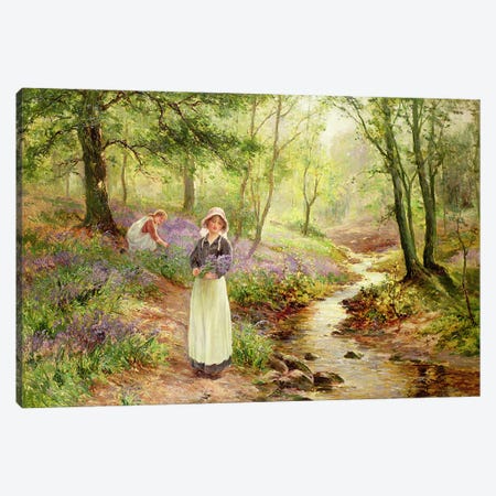 The Bluebell Glade Canvas Print #BMN813} by Ernest Walbourn Canvas Print