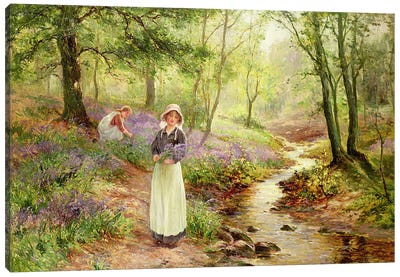 The Bluebell Glade Canvas Art Print