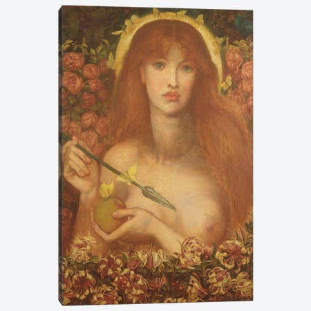 Venus Verticordia, 1868 Canvas Print #BMN8169} by Dante Gabriel Charles Rossetti Canvas Art Print