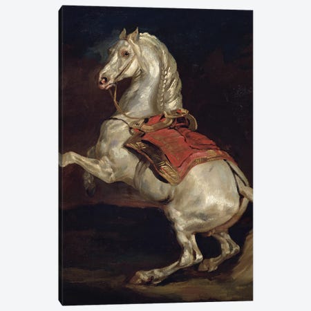 Napoleon's Stallion, Tamerlan  Canvas Print #BMN8320} by Theodore Gericault Canvas Art Print
