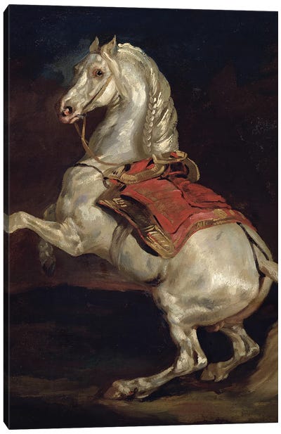 Napoleon's Stallion, Tamerlan  Canvas Art Print