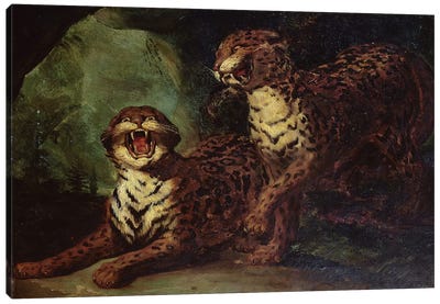 Two Leopards, c. 1820  Canvas Art Print