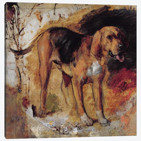 A Study of a Bloodhound, 1848  Canvas Print #BMN8327} by William Holman Hunt Canvas Artwork