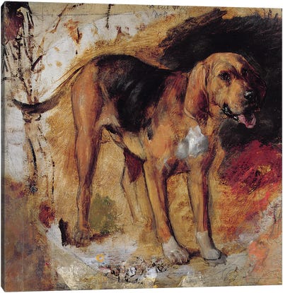 A Study of a Bloodhound, 1848  Canvas Art Print - Bloodhounds