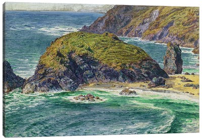 Asparagus Island Canvas Art Print