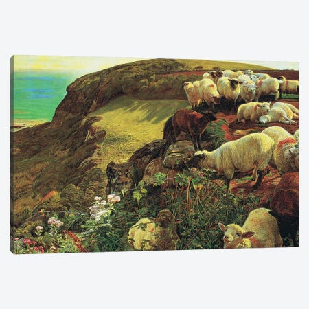 Strayed sheep Canvas Print #BMN8338} by William Holman Hunt Canvas Wall Art