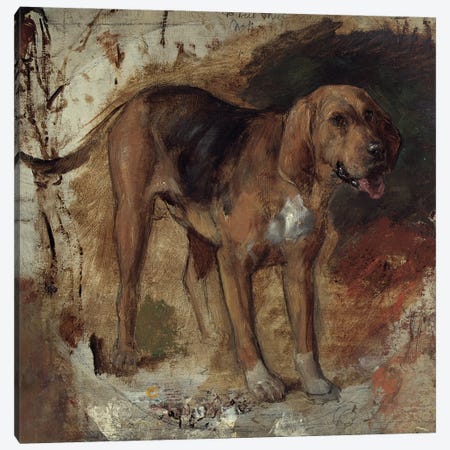 Study of a Bloodhound, 1848 Canvas Print #BMN8339} by William Holman Hunt Canvas Wall Art