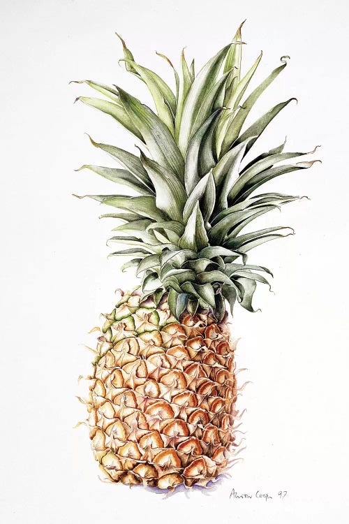 Pineapple, 1997 