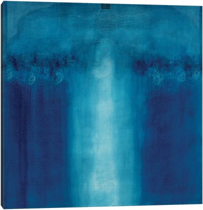 Untitled blue painting, 1995  Canvas Art Print