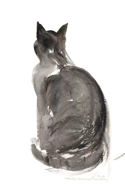 Cat, 1985 