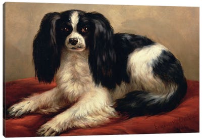 A King Charles Spaniel Seated on a Red Cushion Canvas Art Print - Cavalier King Charles Spaniel Art