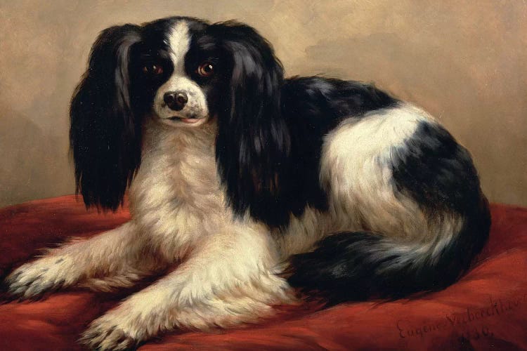 A King Charles Spaniel Seated on a Red Cushion