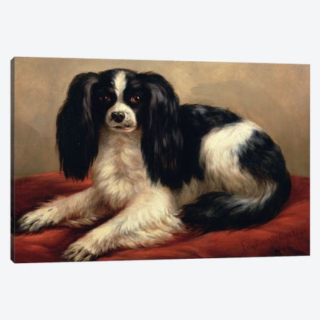 A King Charles Spaniel Seated on a Red Cushion Canvas Print #BMN837} by Eugene Joseph Verboeckhoven Canvas Art