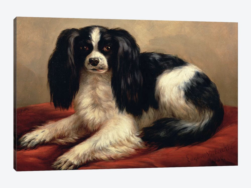 A King Charles Spaniel Seated on a Red Cushion 1-piece Canvas Wall Art