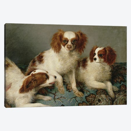 Three Cavalier King Charles Spaniels on a Rug  Canvas Print #BMN838} by English School Canvas Art Print