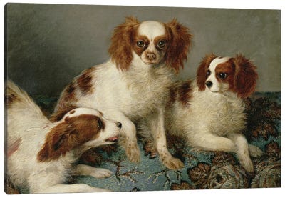 Three Cavalier King Charles Spaniels on a Rug  Canvas Art Print - English School