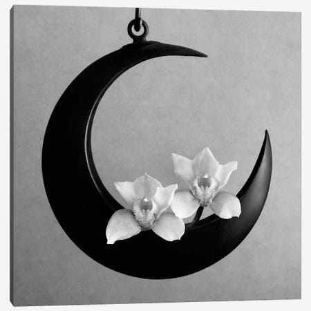 The Orchids Of The Moon, 2006  Canvas Print #BMN8414} by Hiroyuki Arakawa Canvas Wall Art