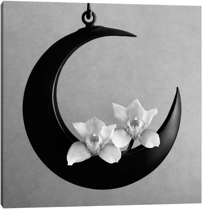 The Orchids Of The Moon, 2006  Canvas Art Print
