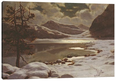 Moonlight in Winter  Canvas Art Print