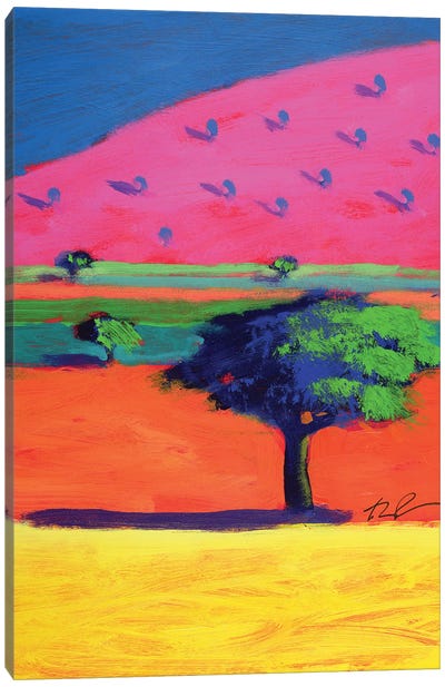 Pink Hill  Canvas Art Print