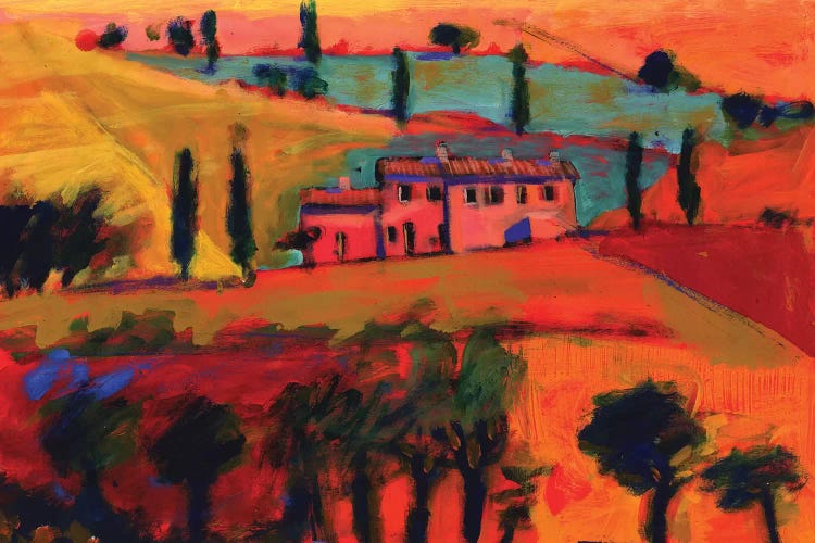 Tuscany, 2008  by Paul Powis wall art