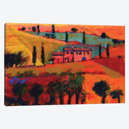 Tuscany, 2008  Canvas Print #BMN8466} by Paul Powis Canvas Art Print