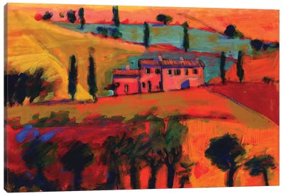 Tuscany, 2008  Canvas Art Print