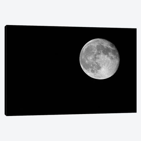 Full Moon, 2017  Canvas Print #BMN8676} by SVP Images Canvas Artwork