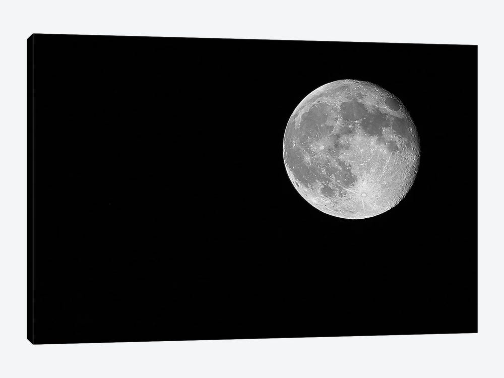 Full Moon, 2017  by SVP Images 1-piece Canvas Art Print