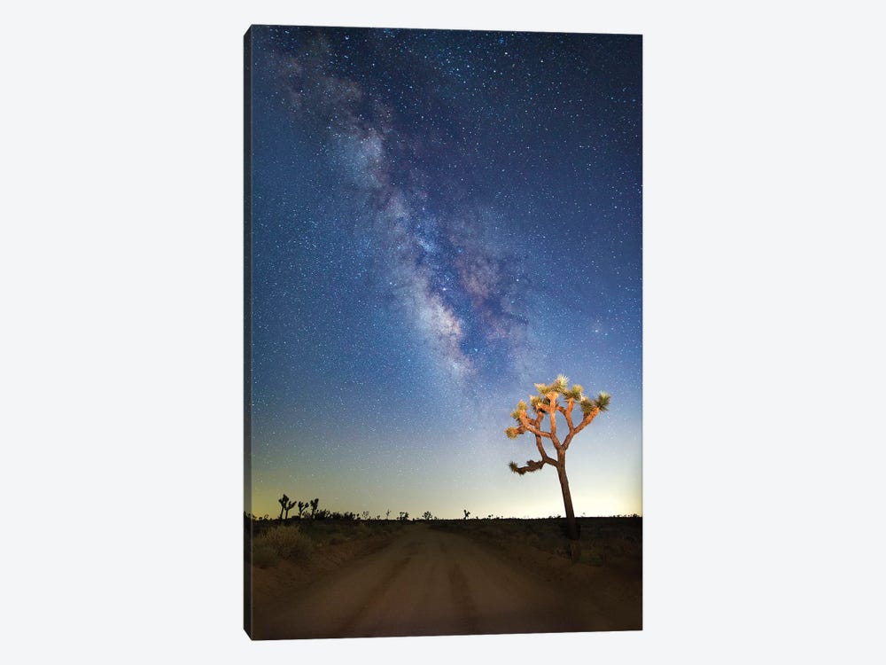 Joshua Tree Milkyway, 2017  by SVP Images 1-piece Canvas Wall Art