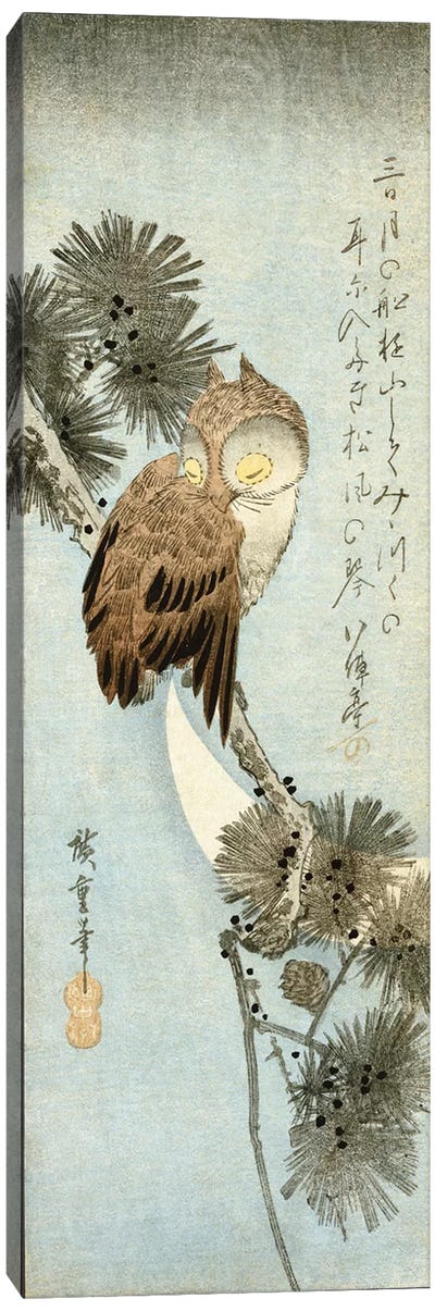 The Crescent Moon And Owl Perched On Pine Branches  Canvas Art Print - East Asian Culture