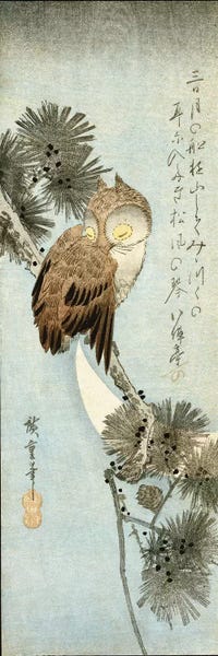 Asian Culture: The Crescent Moon And Owl Perched On Pine Branches  by Utagawa Hiroshige