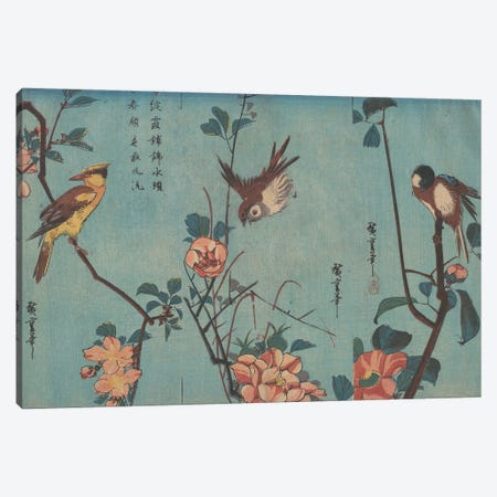 Titmouse and Camellias, Sparrow and Wild Roses and Black-naped Oriole and Cherry Blossoms, c.1833  Canvas Print #BMN8794} by Utagawa Hiroshige Canvas Print