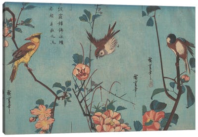 Titmouse and Camellias, Sparrow and Wild Roses and Black-naped Oriole and Cherry Blossoms, c.1833  Canvas Art Print