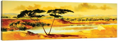 The Jewel of Hlubluwe, South Africa .1996  Canvas Art Print
