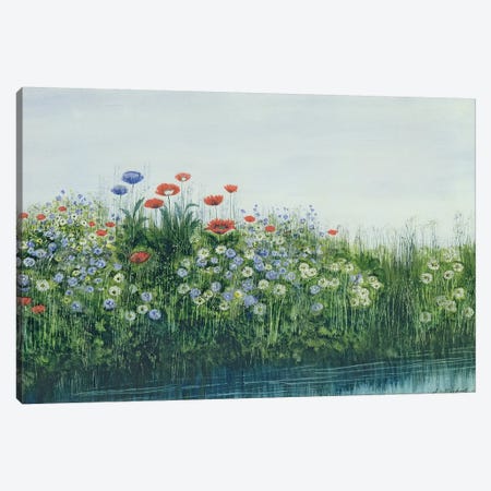 Poppies by a Stream  Canvas Print #BMN8808} by Andrew Nicholl Canvas Art